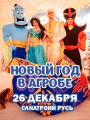 Новый год в Агробе