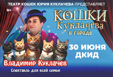 Кошки Куклачева в городе