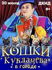 Кошки Куклачева в городе