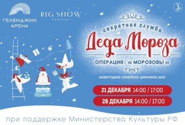 Новогоднее цирковое шоу "Секретная служба Деда Мороза. Операция Морозовы"