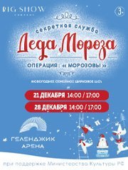 Новогоднее цирковое шоу "Секретная служба Деда Мороза. Операция Морозовы"