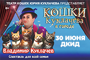Кошки Куклачева в городе
